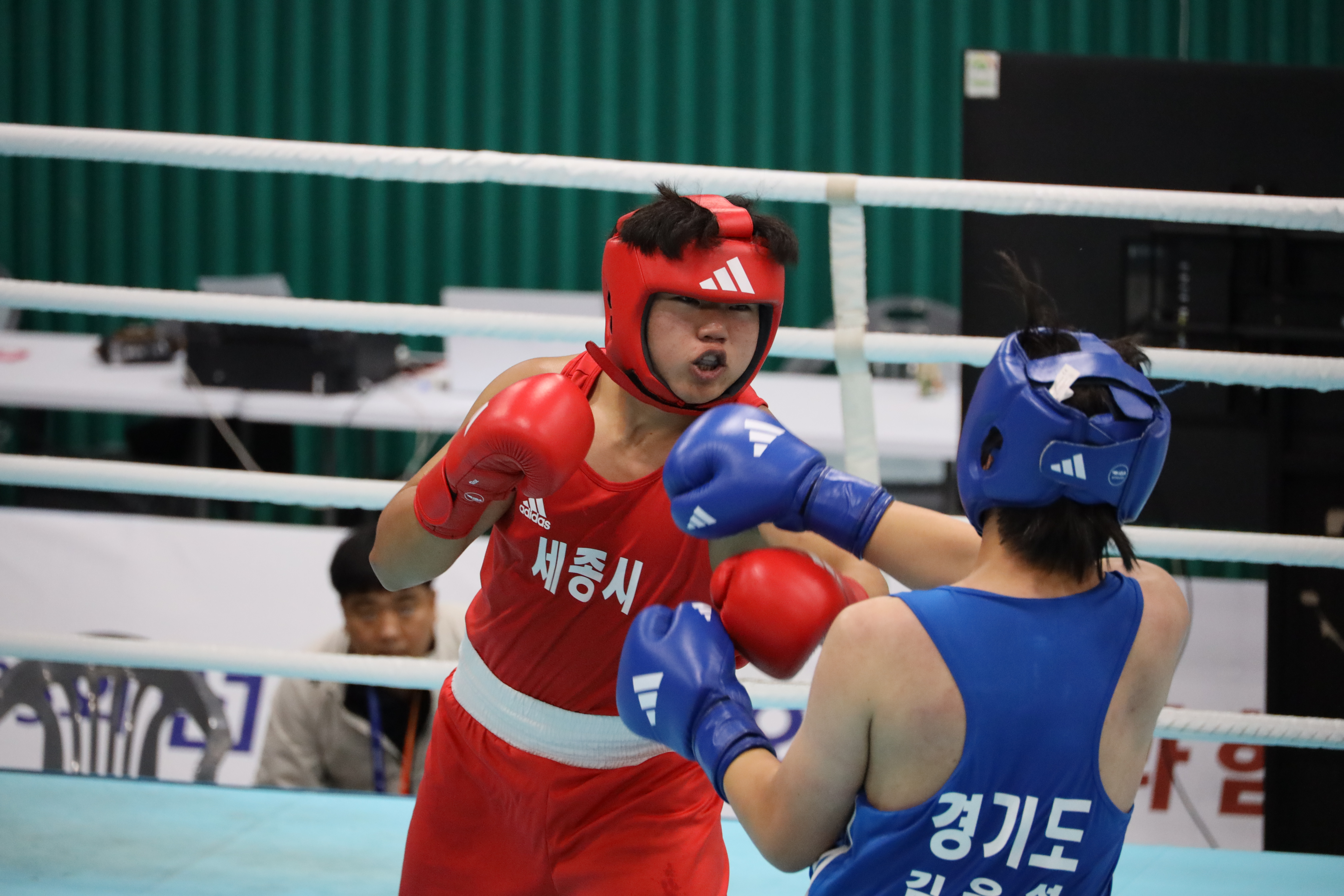 제105회 전국체육대회